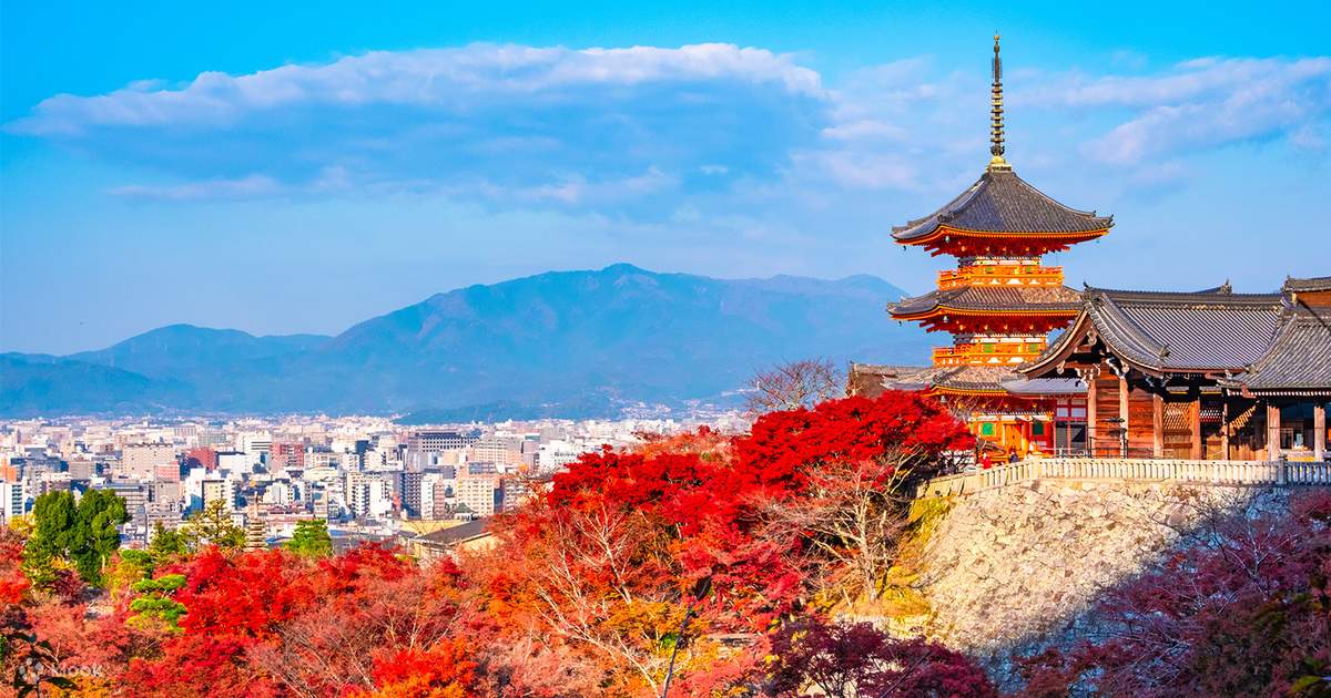 京都古寺散策 京都 【公式通販】